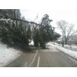 fotografia